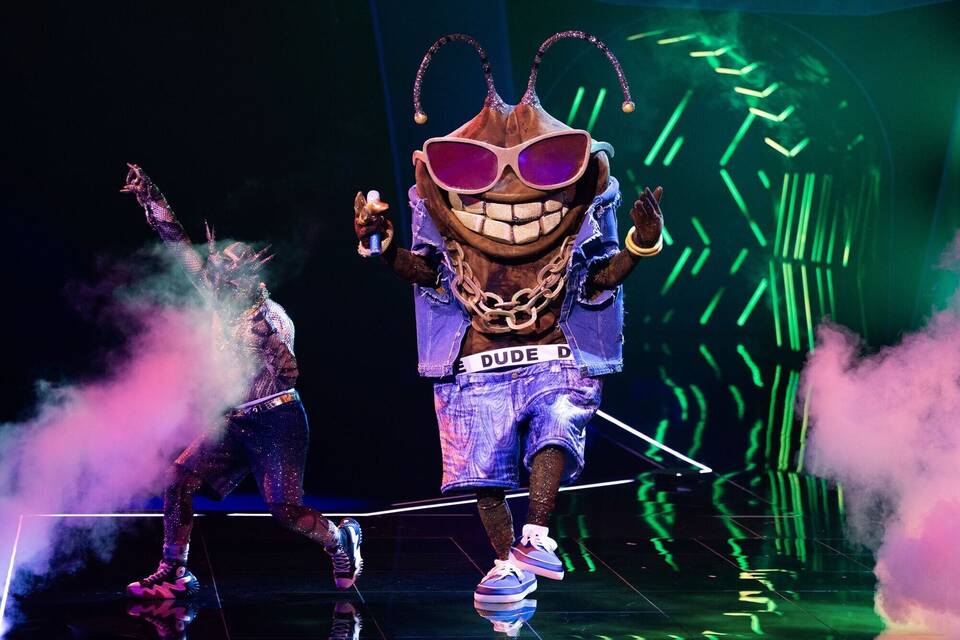 „The Masked Singer“