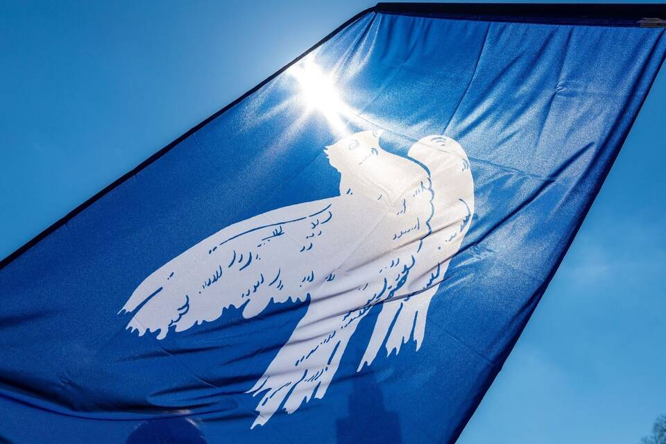 Friedenstaube Friedenstaube