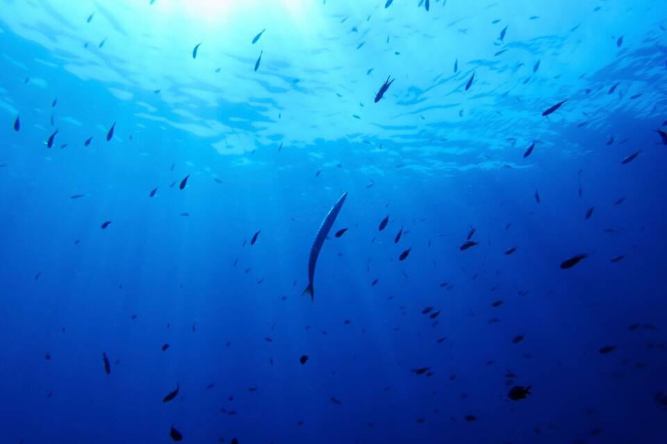 UN-Hochseeschutzabkommen