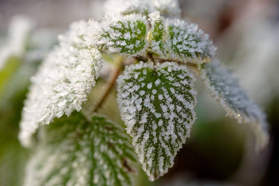 Wetter in Baden-Württemberg