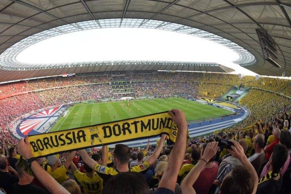 BVB-Fans BVB-Fans