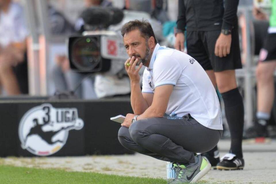 Löwen-Coach