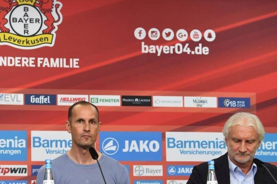 Vorstellung