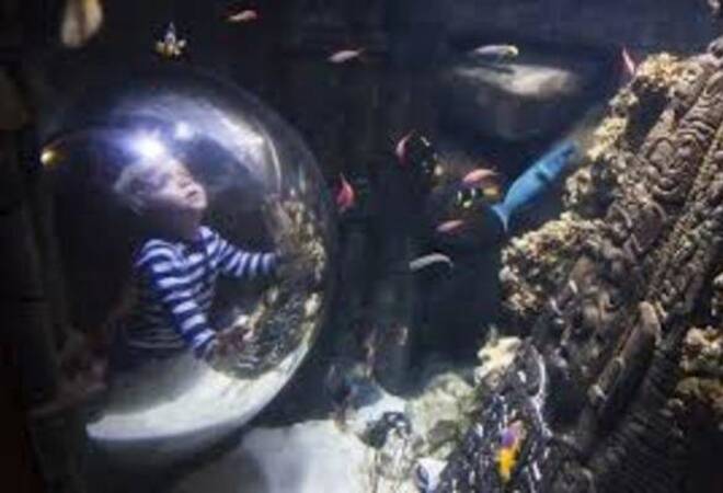 Speyer Laternenumzug Unter Wasser Im Sea Life Familienzeit Rnz