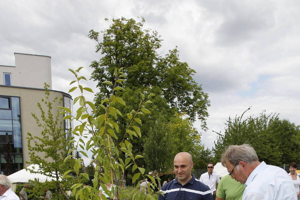 Tag der offenen Gärten und Höfe in Wiesloch die Fotogalerie