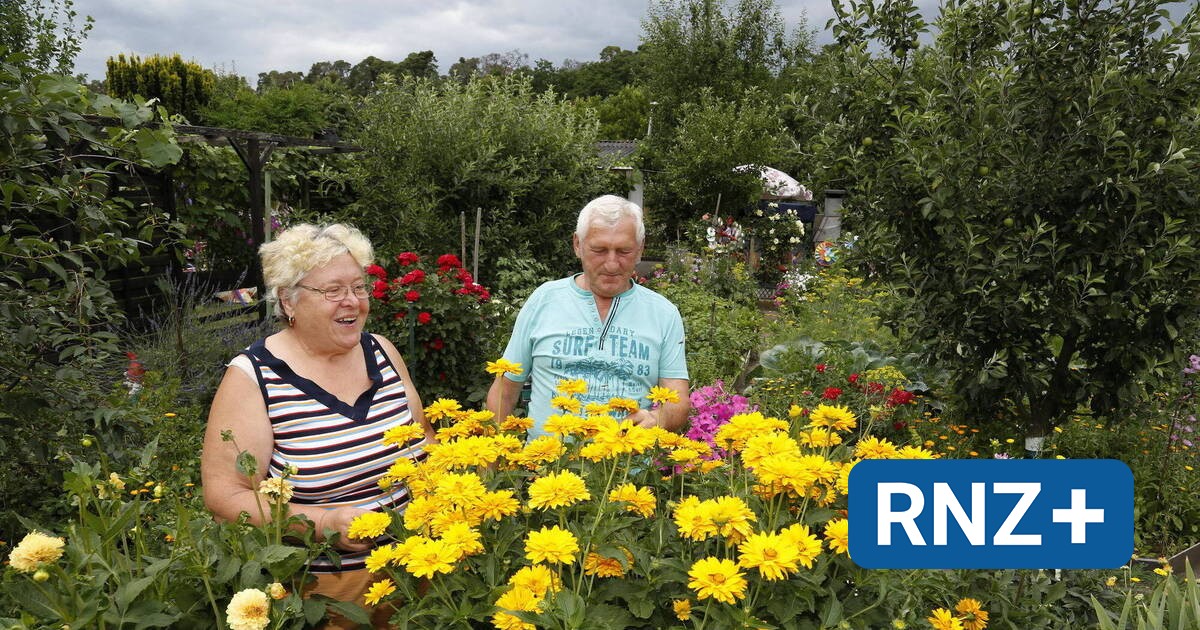 "Tag der offenen Gärten und Höfe" in Wiesloch Eine Sinfonie aus Blumen