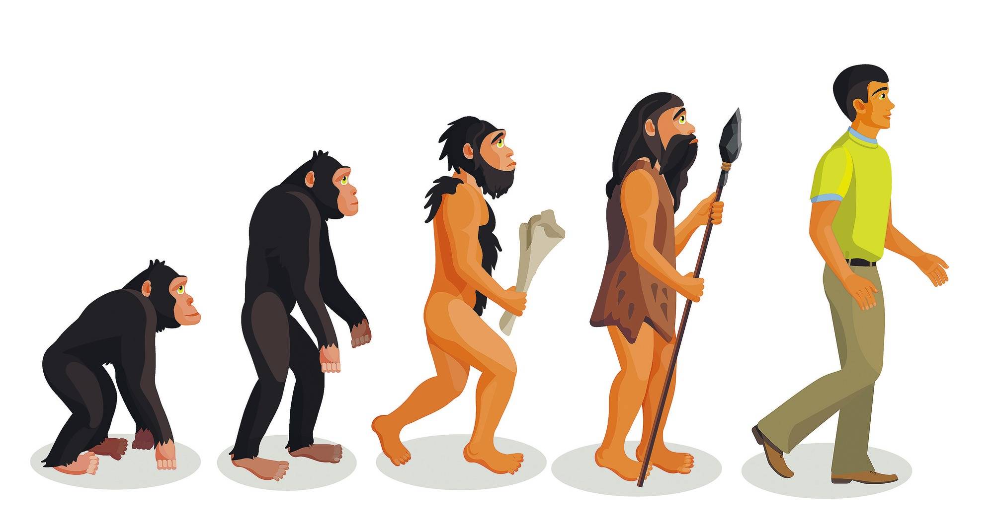 Knochenfund Auf Schwabischer Alb Die Geheimnisvolle Liaison Des Neandertalers Wissenschaft Regional Rnz