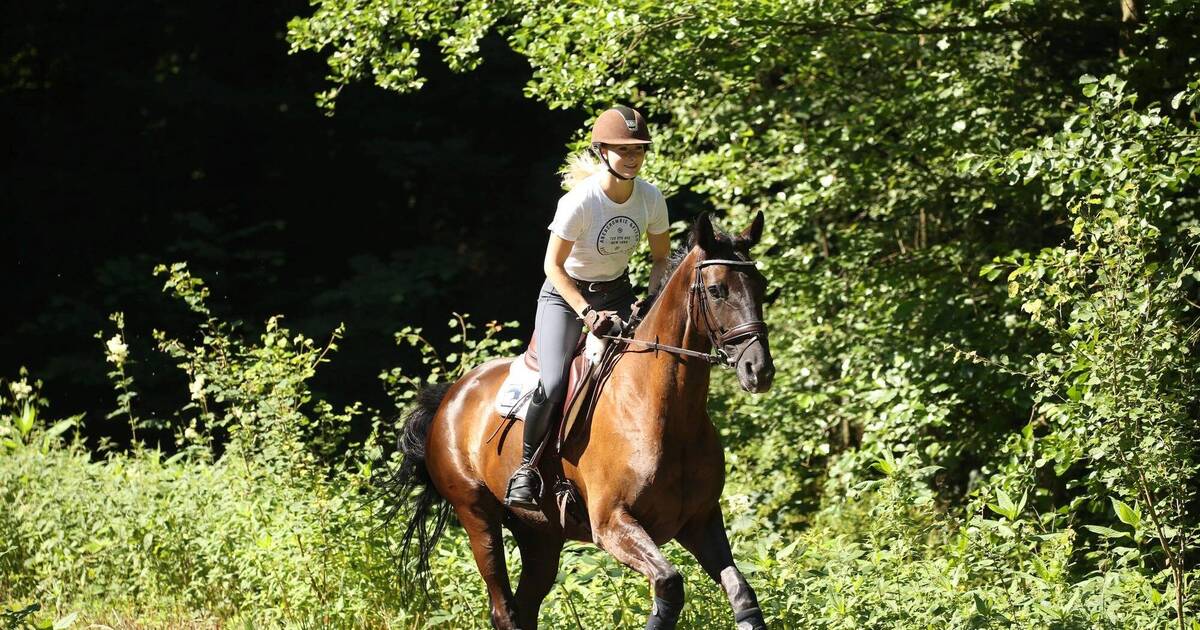 Reiten bammental Reiten bammental