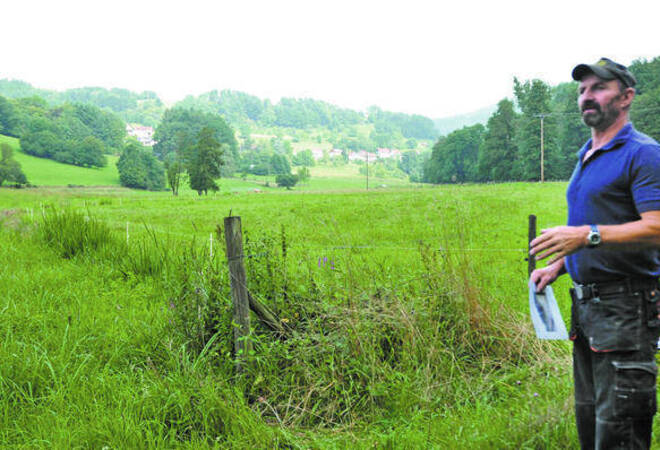 Elektro statt Stacheldraht: Ein Landwirt in Dem Bauern dieser Weide wurde von der Behörde untersagt, ein