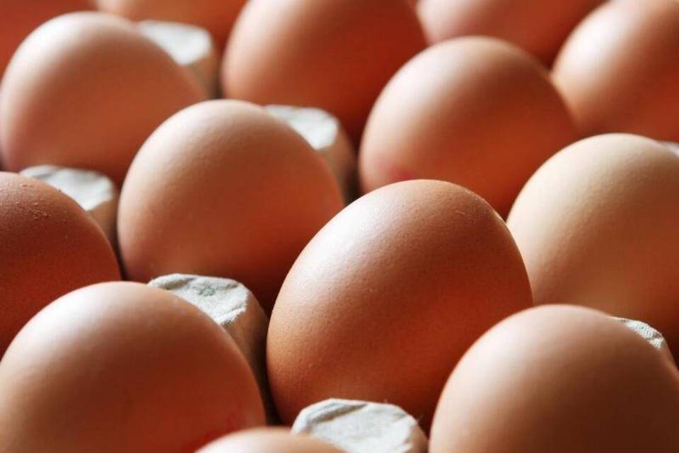 Verseuchte Eier auch in Deutschland?