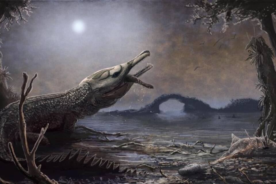 Lemmys Krokodil Lemmys Krokodil