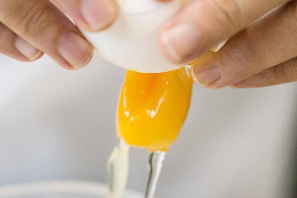 Fipronil-Krise Fipronil-Krise