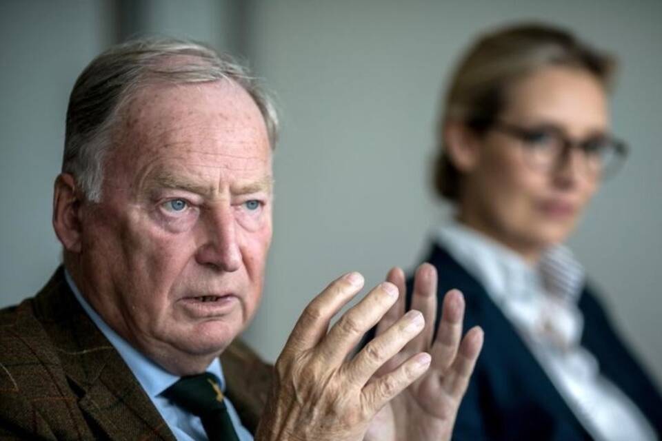 AfD-Spitzenkandidaten