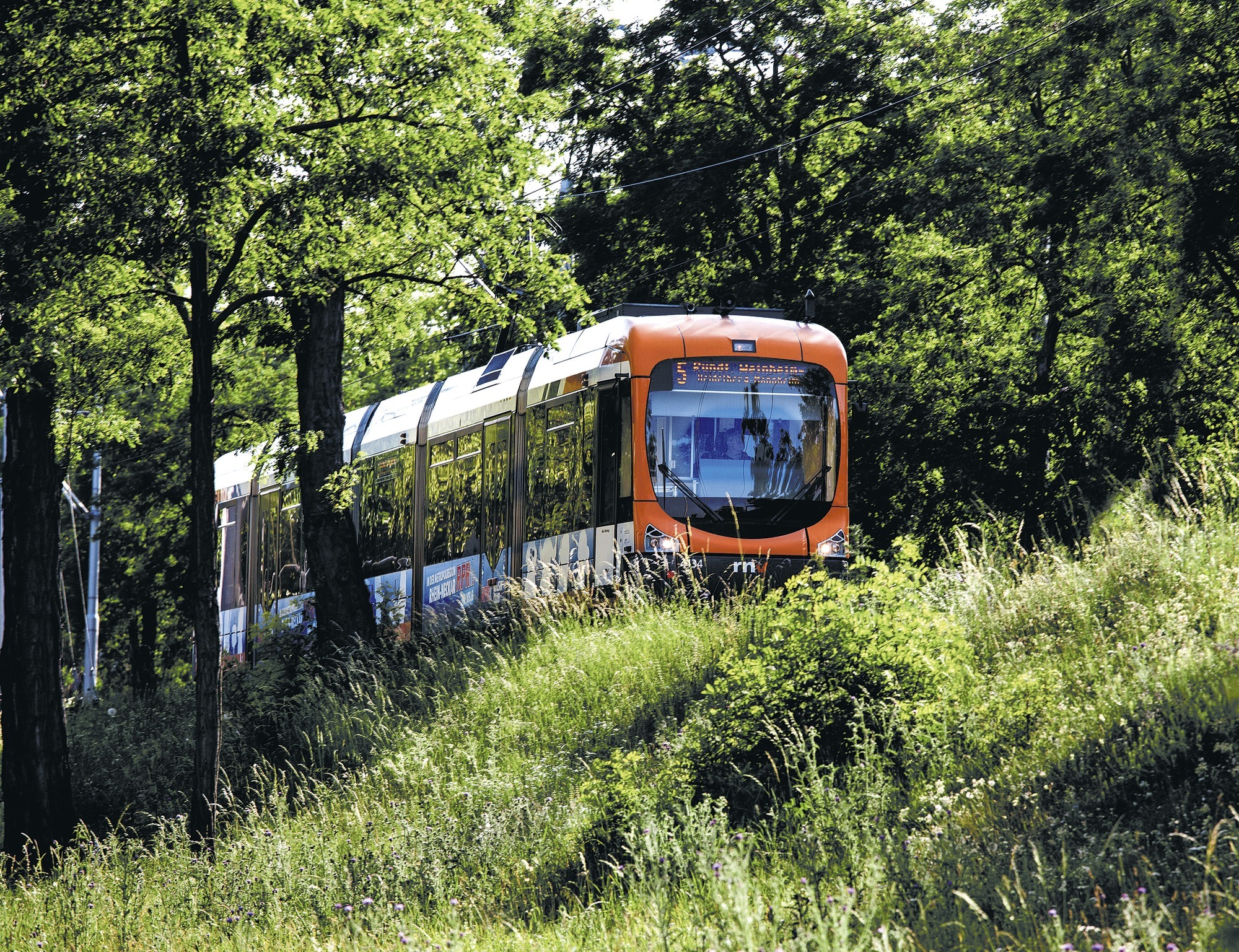 Fruher Oeg Heute Linie 5 Lebensader Zwischen Rhein Und Neckar