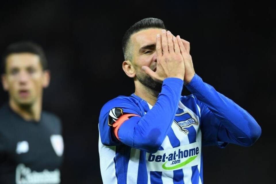 Vedad Ibisevic Vedad Ibisevic