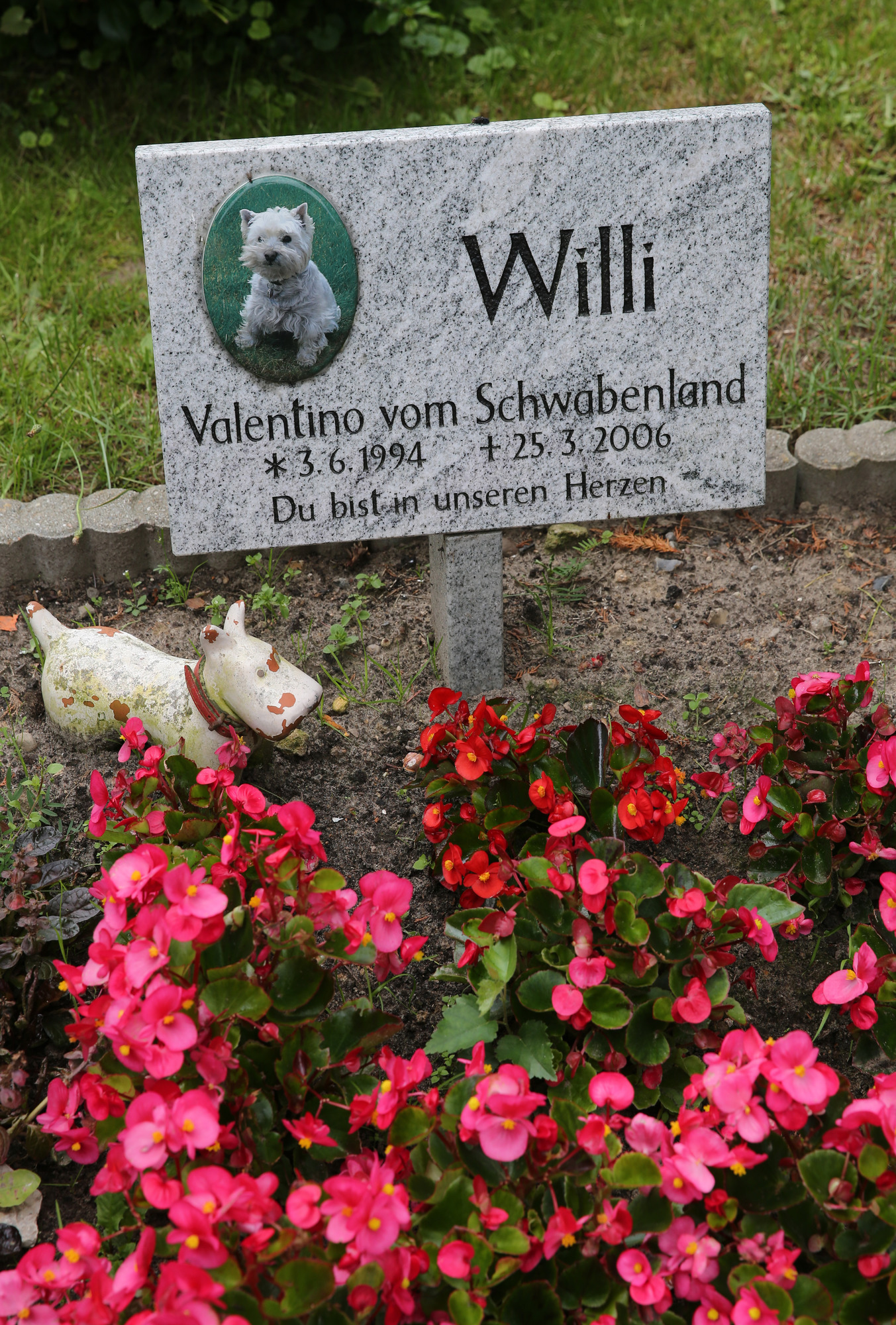 Bestattung Von Haustieren Wenn Das Haustier Stirbt Rhein Neckar Zeitung Regionalnachrichten Rnz