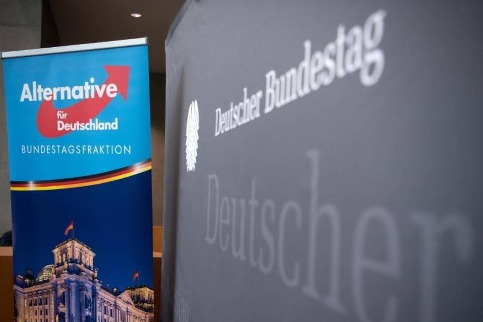 AfD-Bundestagsfraktion