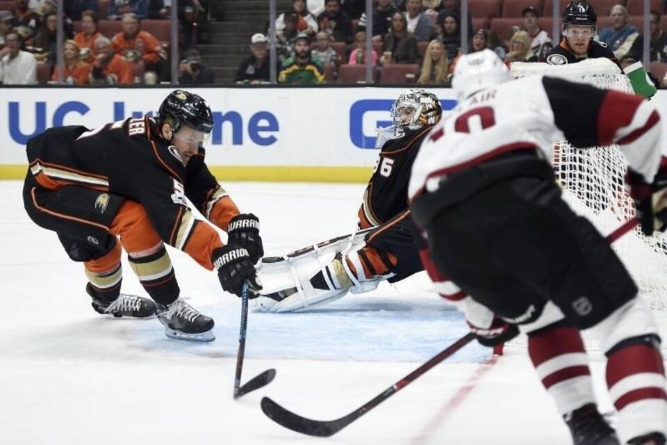 NHL-Profi