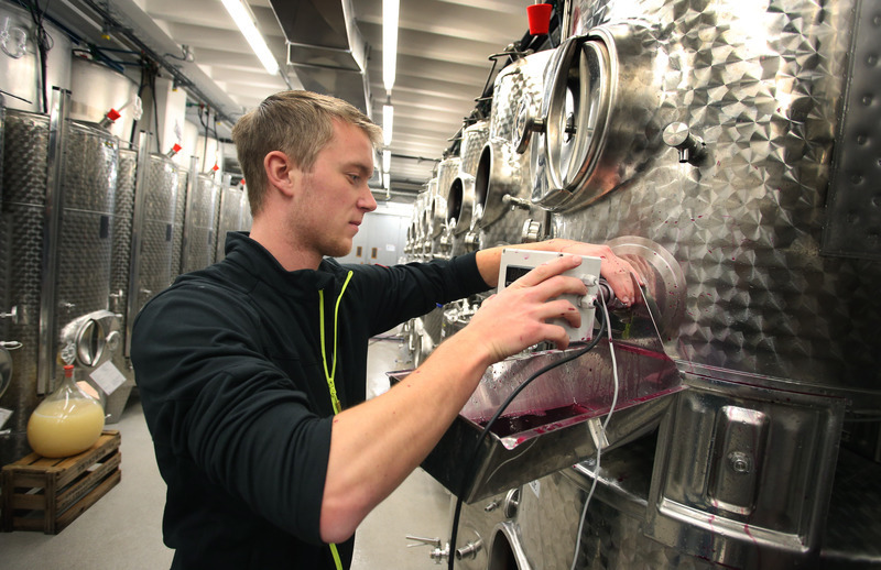 Winzer: Der Winzer ist ein Beruf der Gegensätze - Ausbildung & Beruf - RNZ