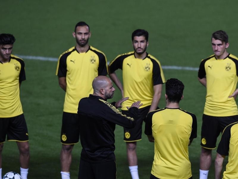bvb gegen nikosia bvb gegen nikosia