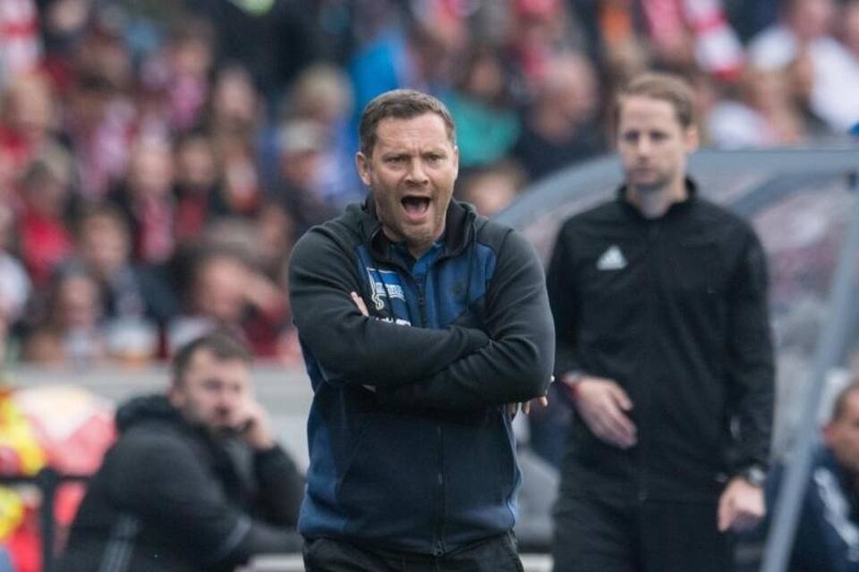 Pal Dardai Pal Dardai