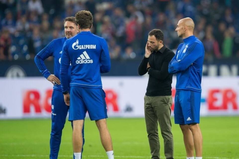 Schalkes Trainer-Team