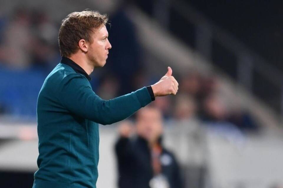 Hoffenheim-Coach