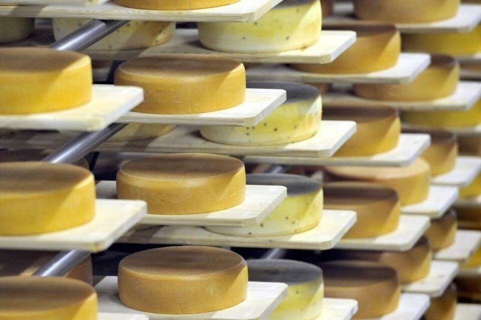 Käse aus Deutschland