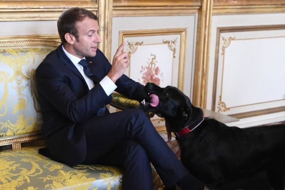 Macron mit Labrador-Mischling Nemo