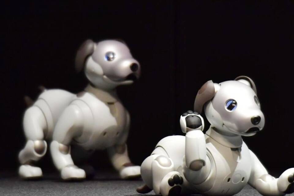 Roboterhund Aibo