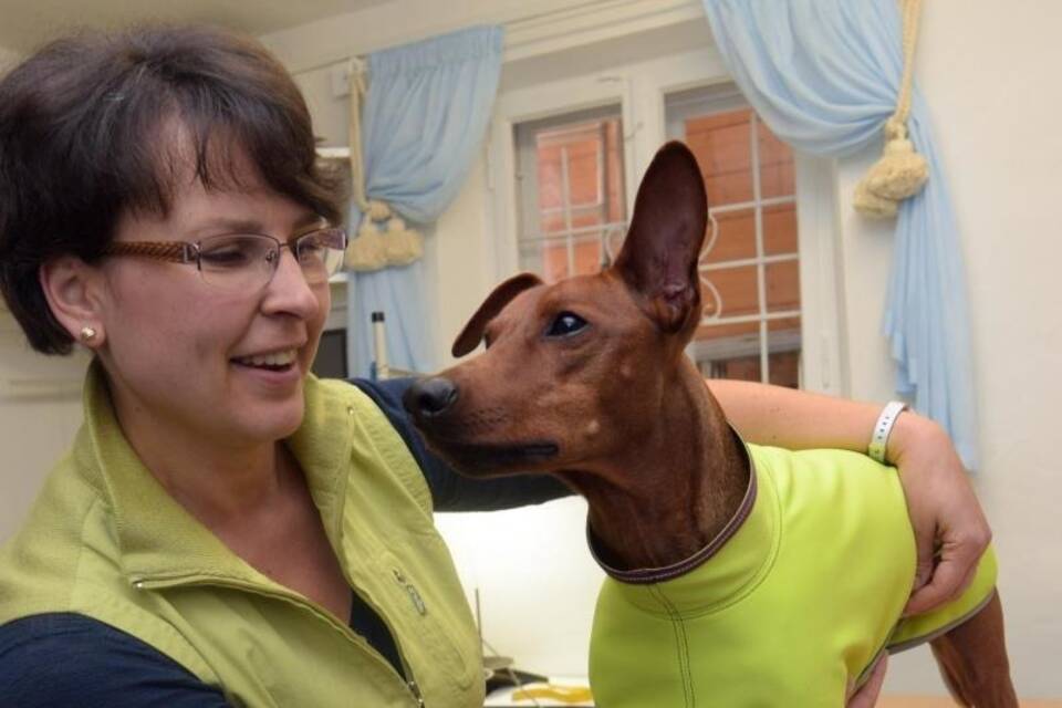 Maßkleidung für Hunde