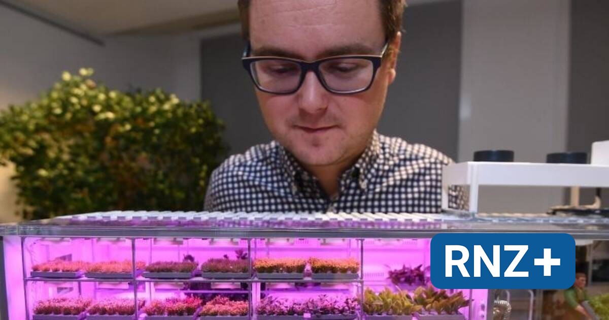 Neuartiges Gewächshaus Gärtner im Eis «Ich habe einen normal grünen
