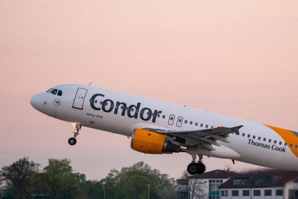 Condor Condor