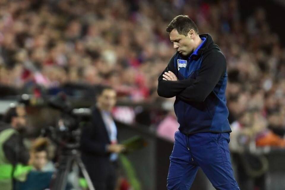 Pal Dardai Pal Dardai