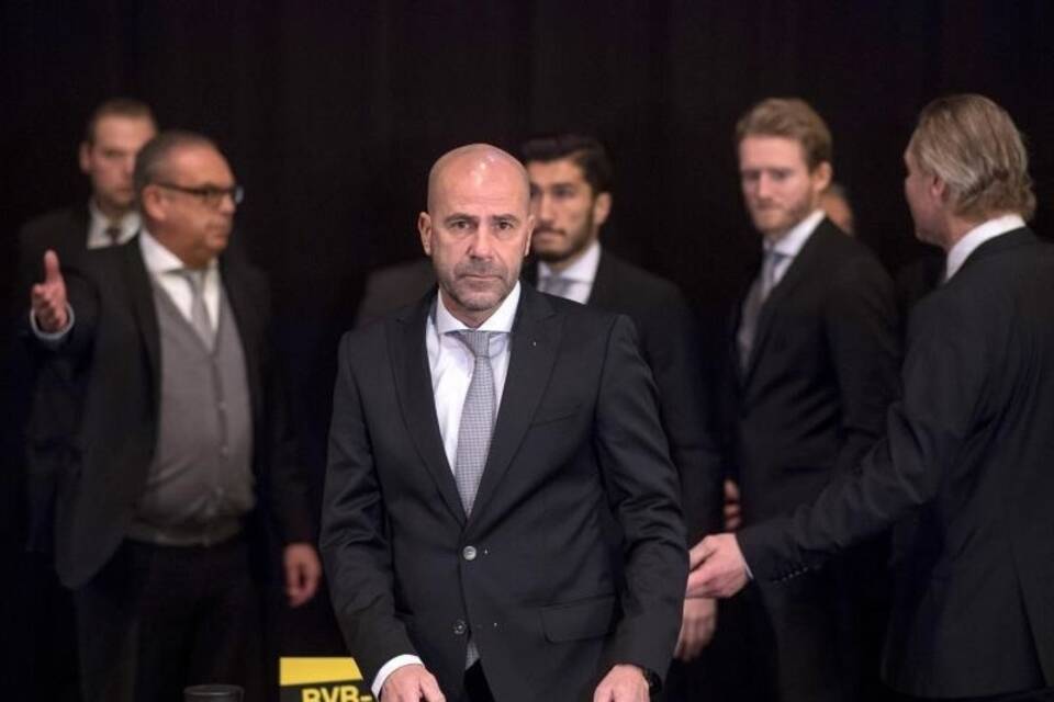 BVB-Coach BVB-Coach