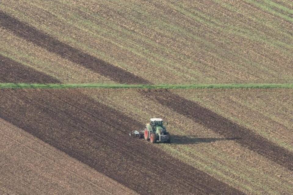 Feldarbeit Feldarbeit