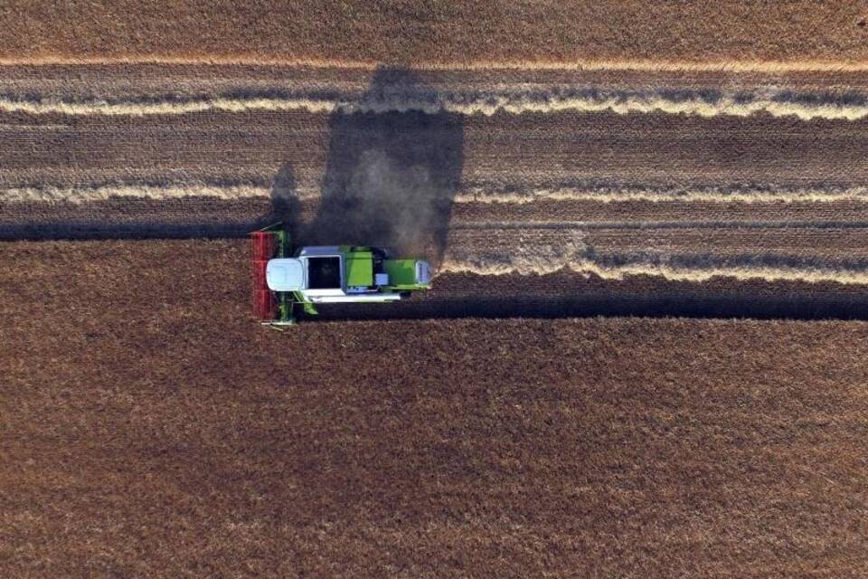 Ernte Ernte