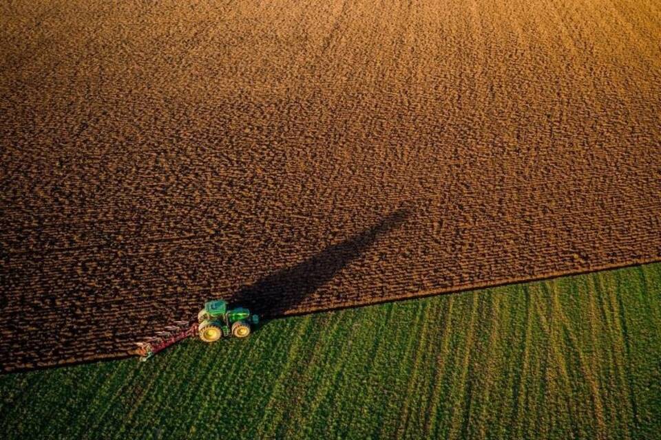 Landwirtschaft Landwirtschaft