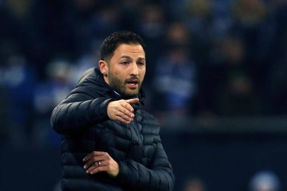 Domenico Tedesco Domenico Tedesco