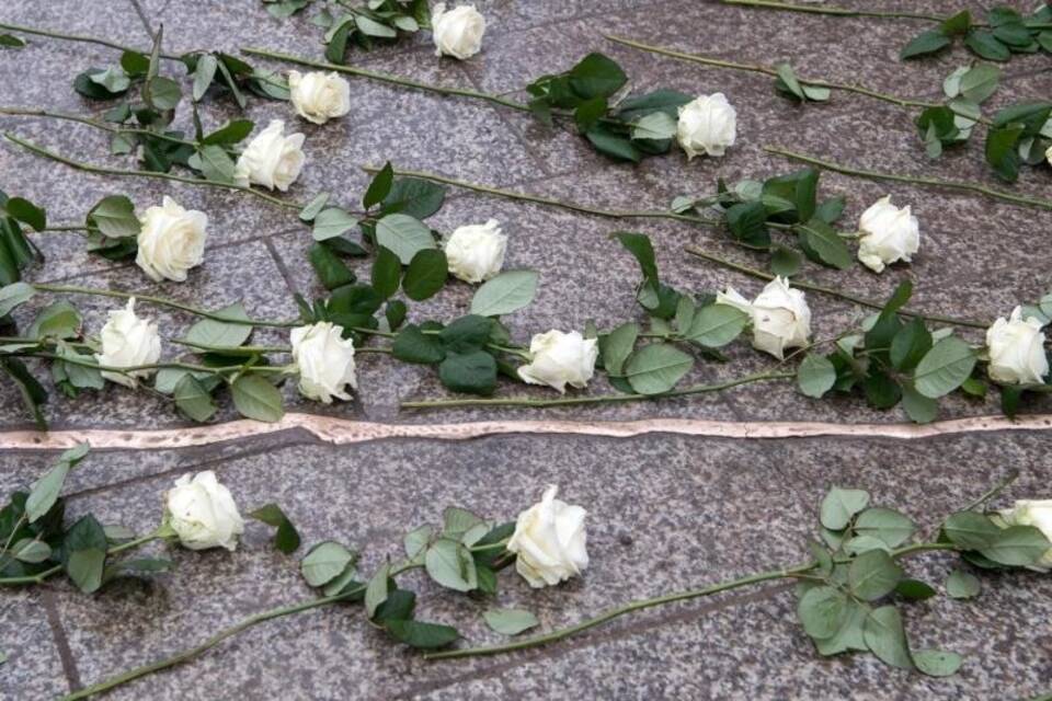Riss und Rosen Riss und Rosen