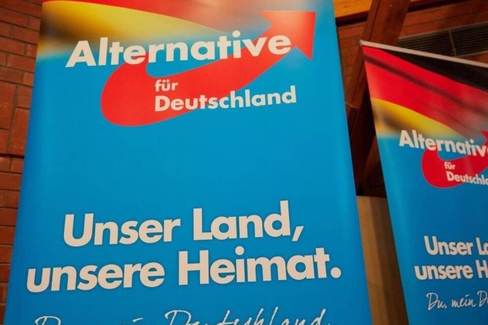 AfD-Plakate