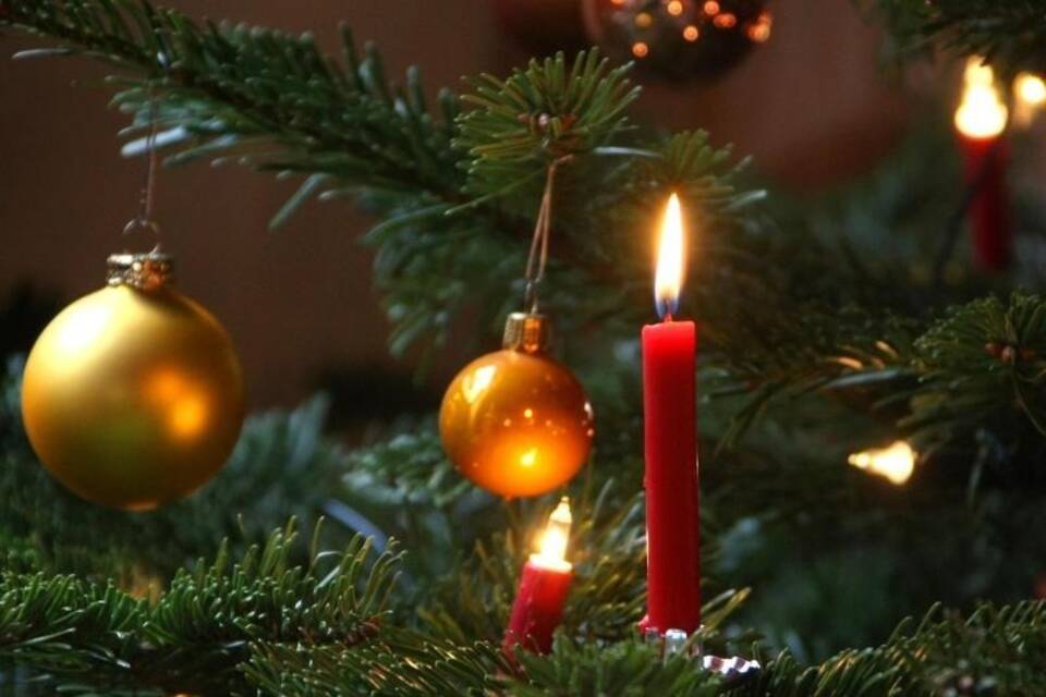 Tannenbaum Tannenbaum