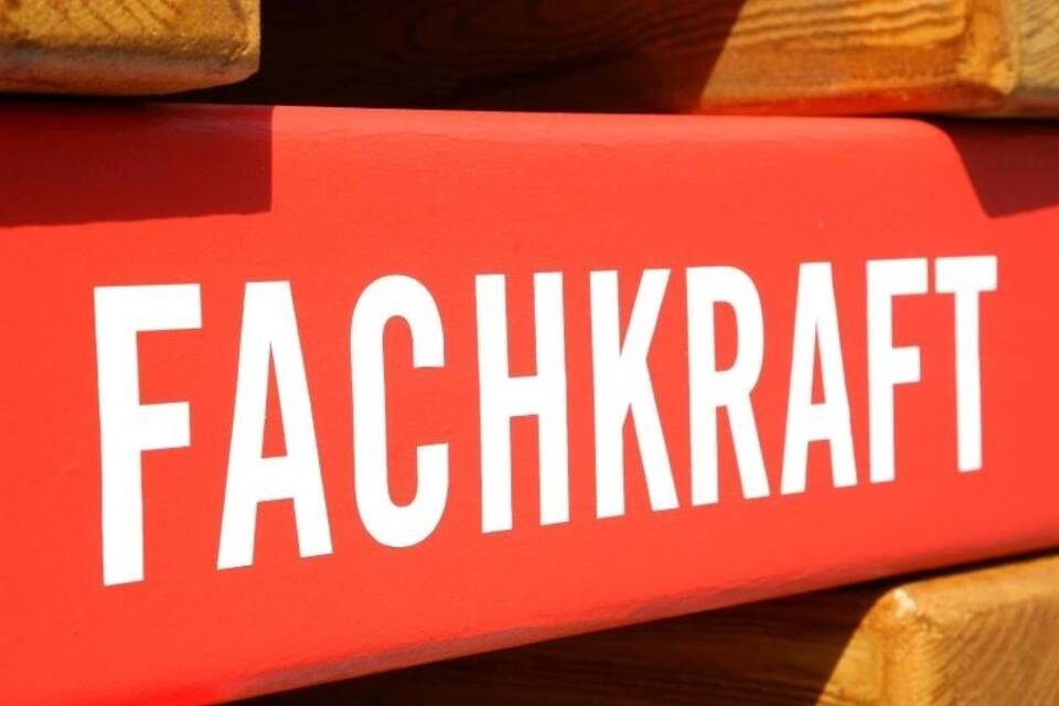 Fachkraft Fachkraft