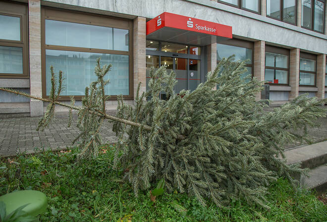weihnachtsbaum abholung in heidelberg neuenheimer m 252 ssen weihnachtsbaum abholung in heidelberg neuenheimer m 252 ssen
