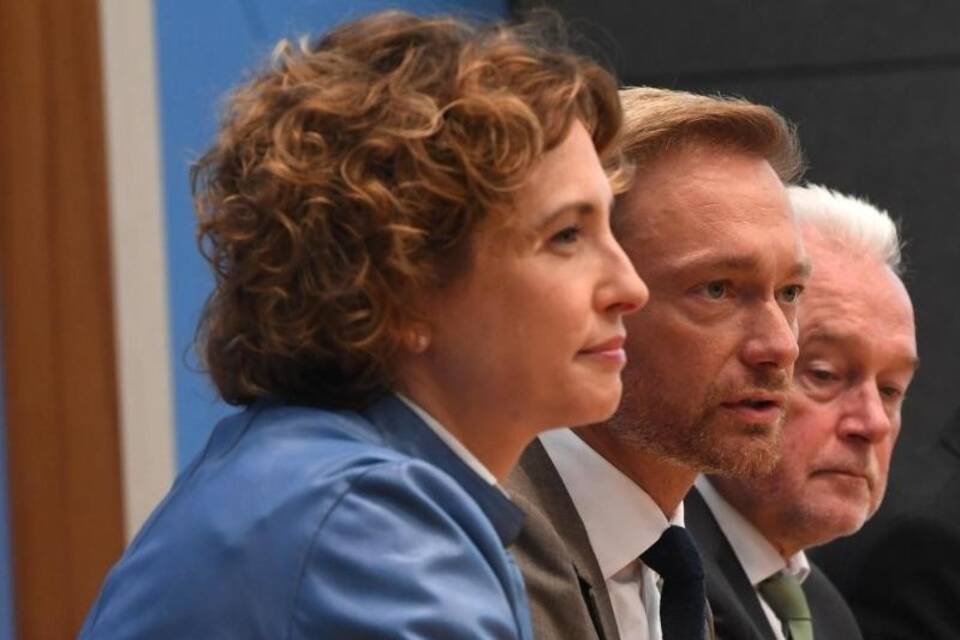 Beer, Lindner und Kubicki
