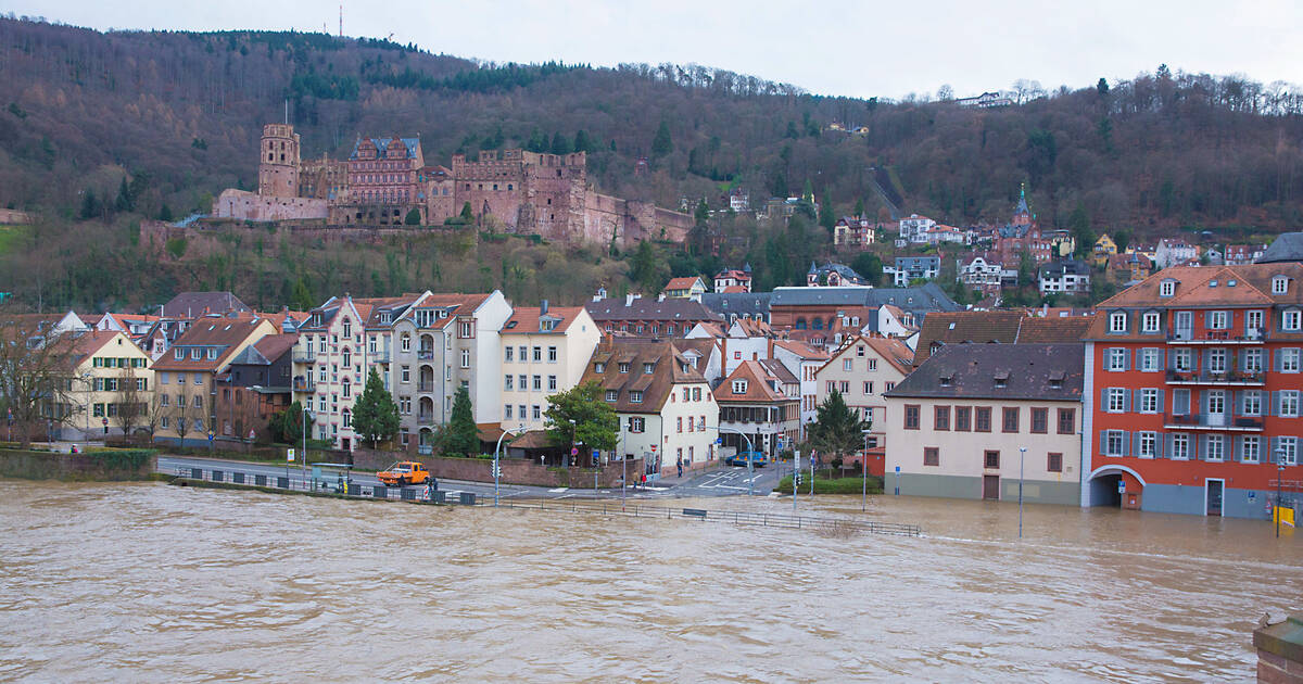 Heidelberg Neckar Германия