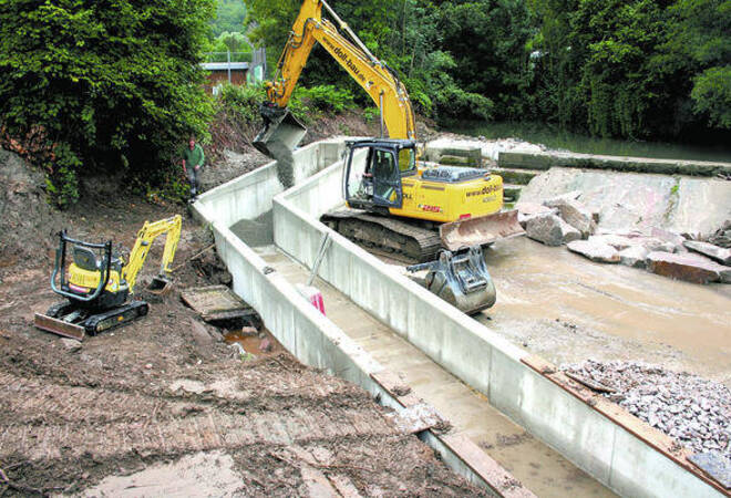 Bammental Eine Treppe Fur Die Fische Nachrichten Region Heidelberg Rnz