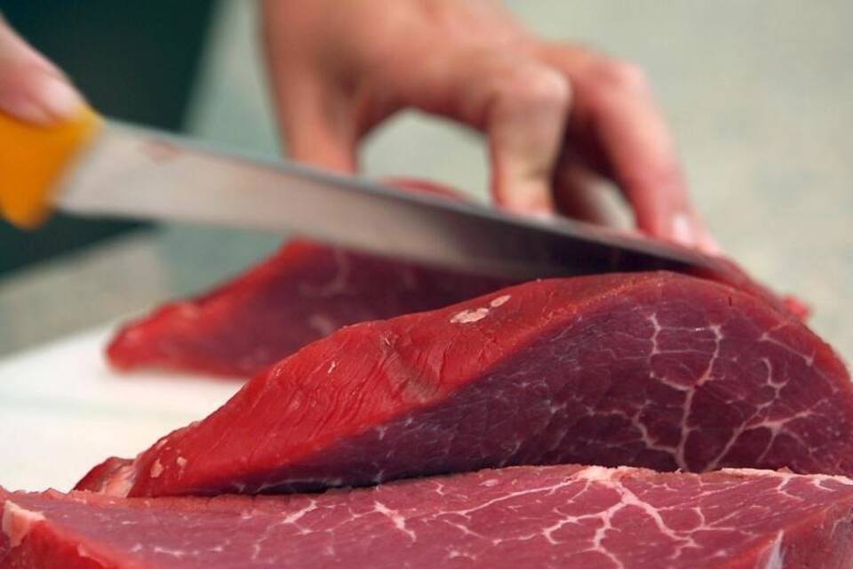 Fleisch Fleisch