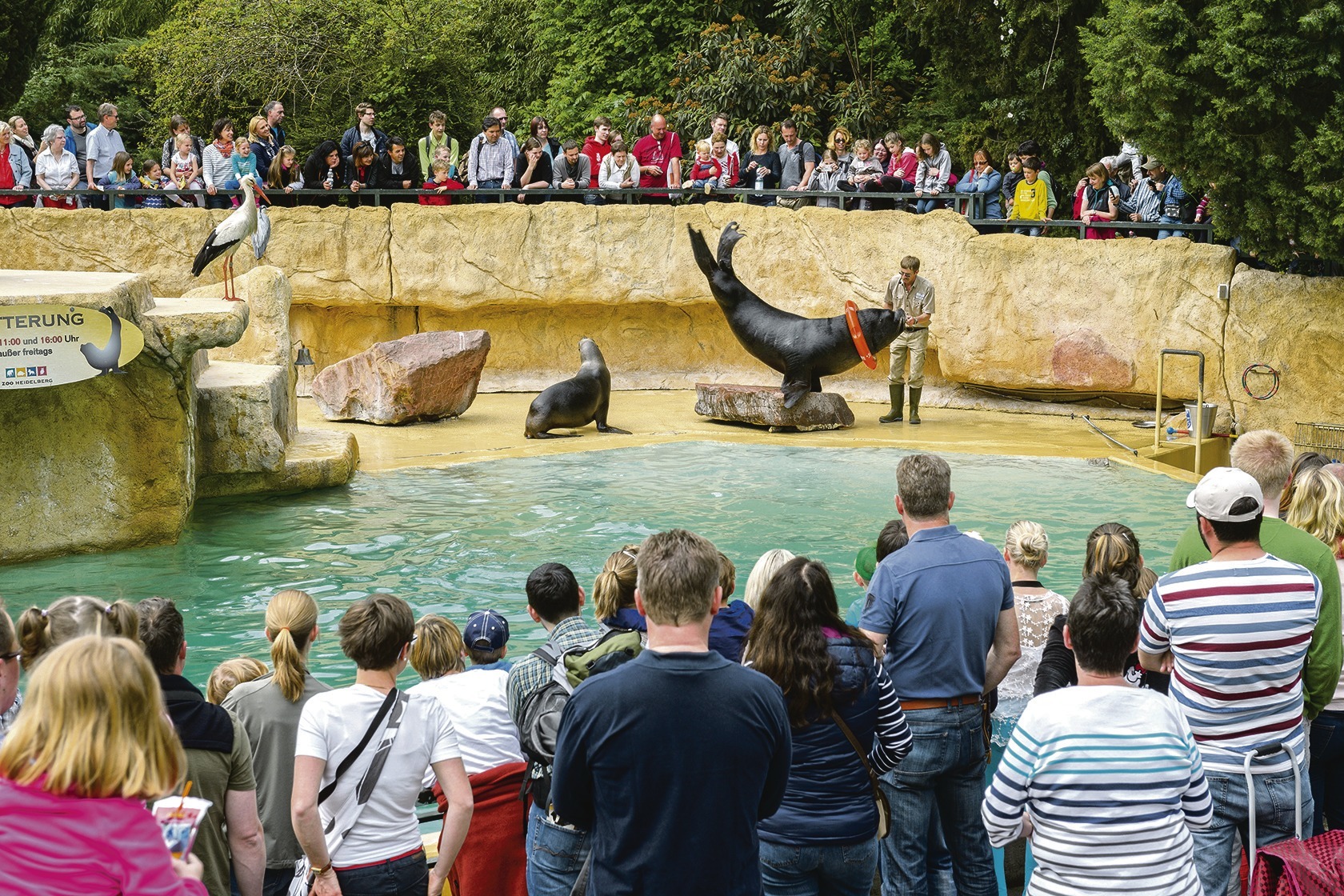 heidelberg zoo eintritt