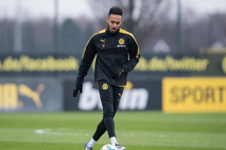 BVB-Star BVB-Star
